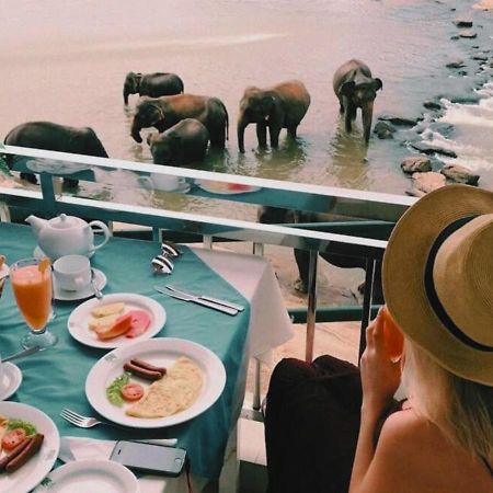 Hotel Elephant Park - New Deal! Half Off Airport Pickups Available Пиннавела Экстерьер фото