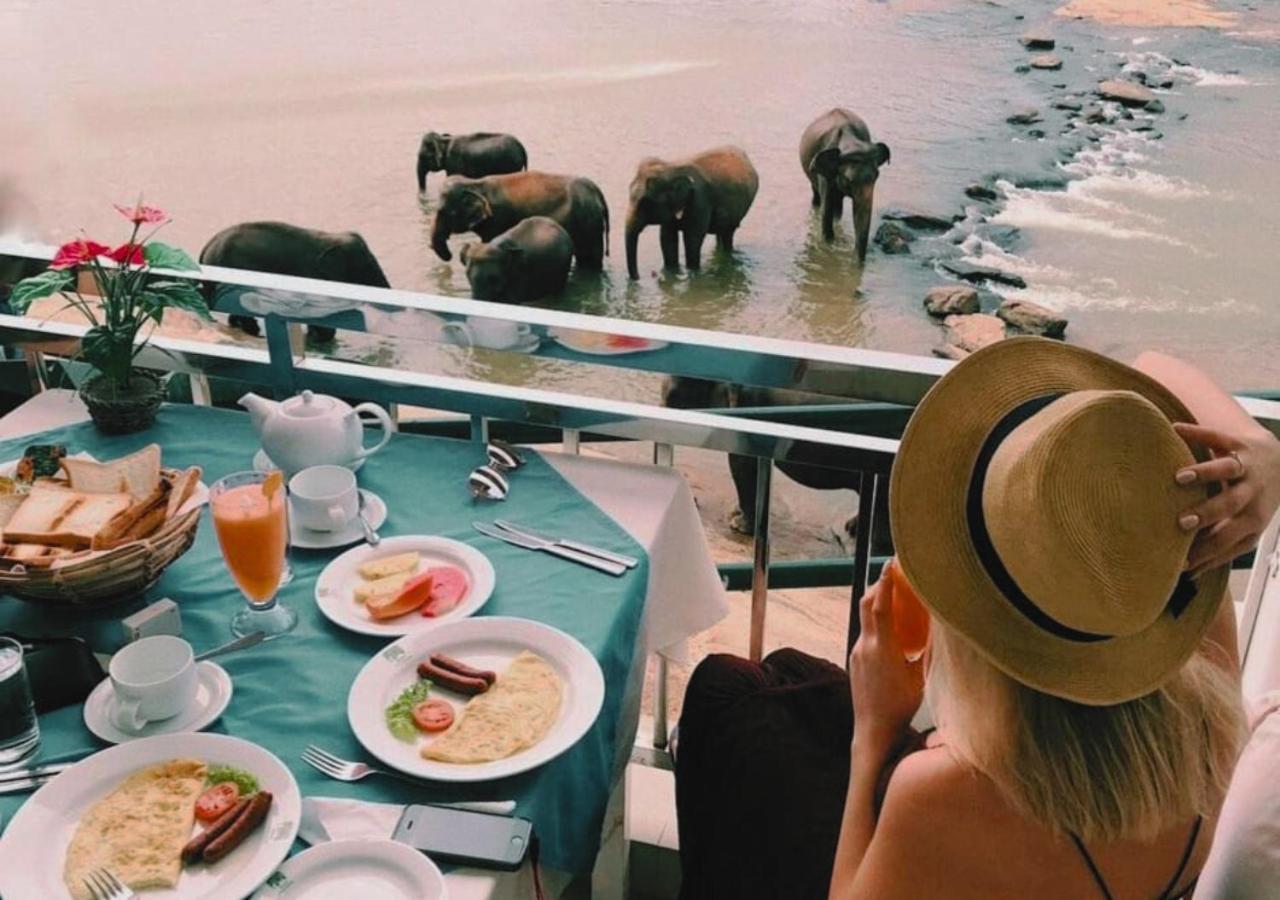 Hotel Elephant Park - New Deal! Half Off Airport Pickups Available Пиннавела Экстерьер фото