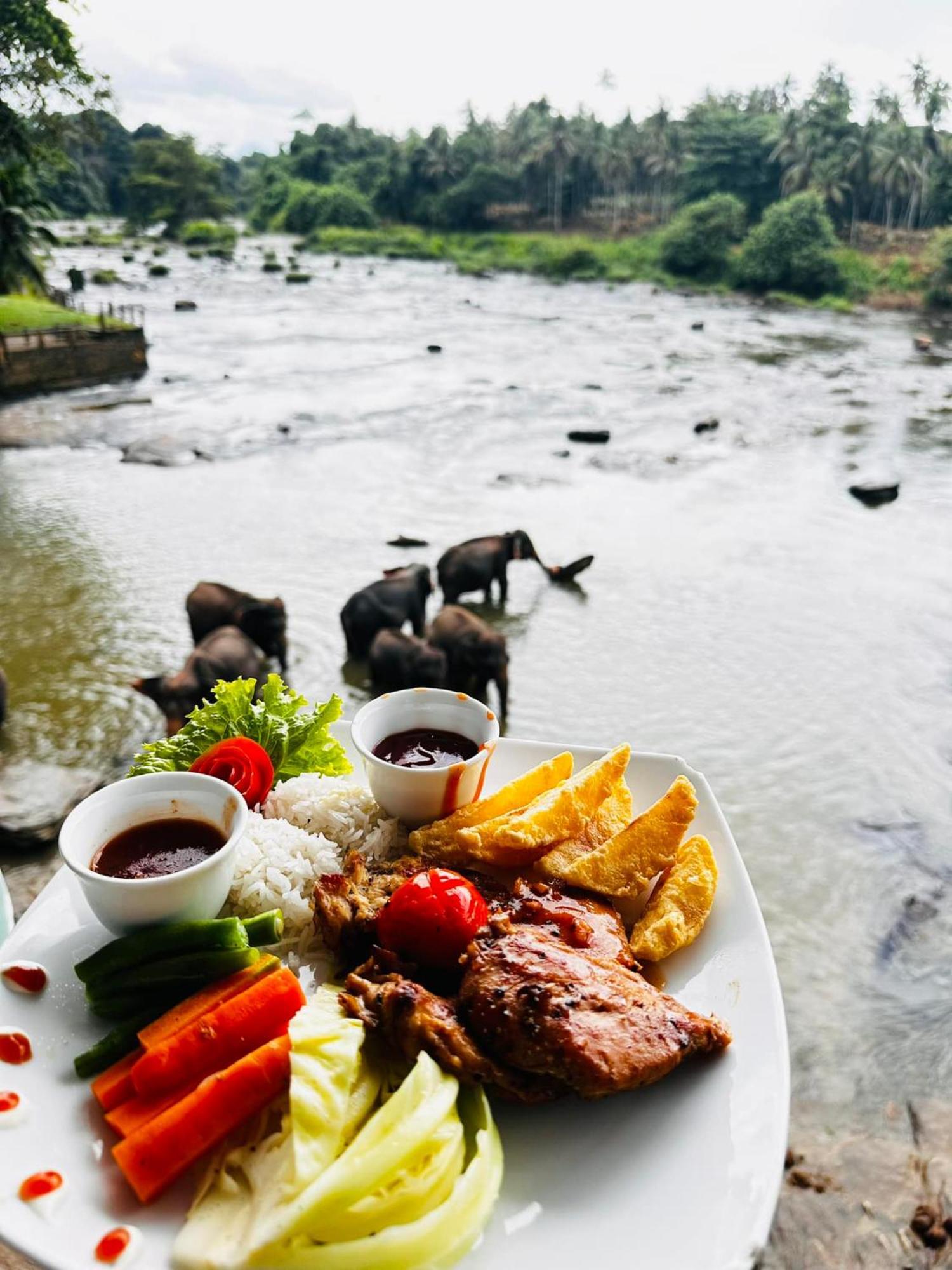 Hotel Elephant Park - New Deal! Half Off Airport Pickups Available Пиннавела Экстерьер фото