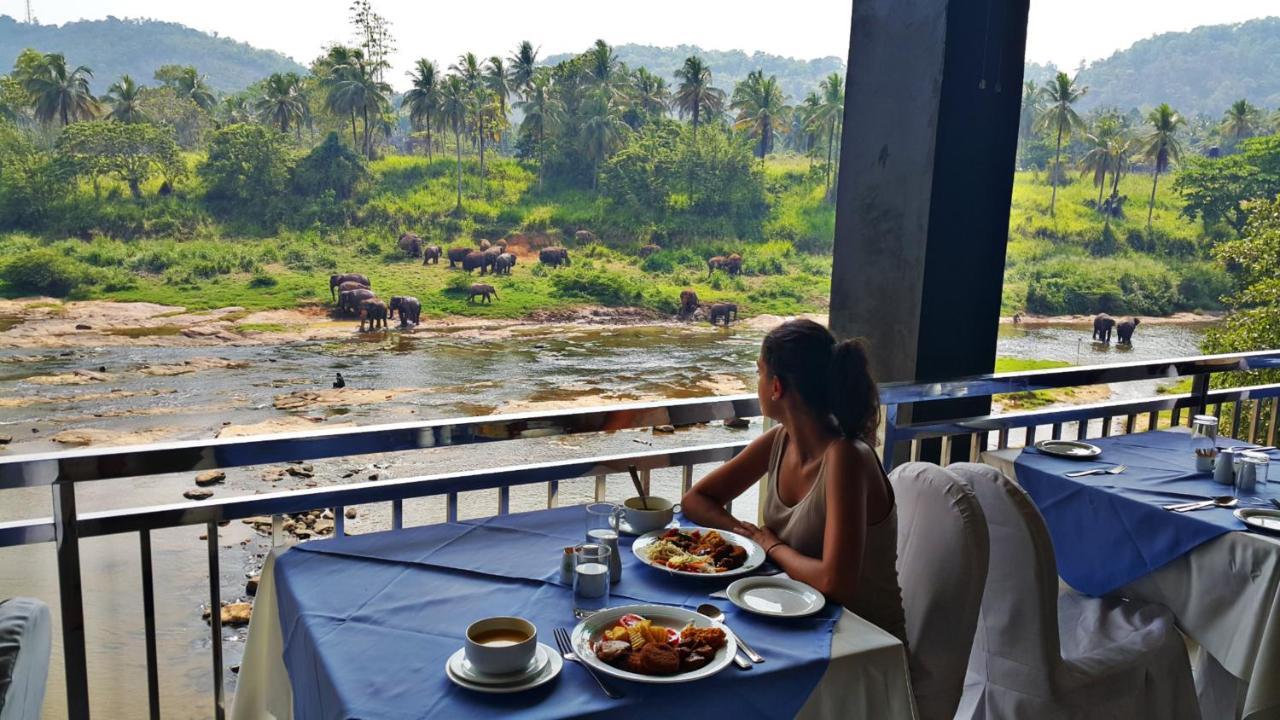Hotel Elephant Park - New Deal! Half Off Airport Pickups Available Пиннавела Экстерьер фото