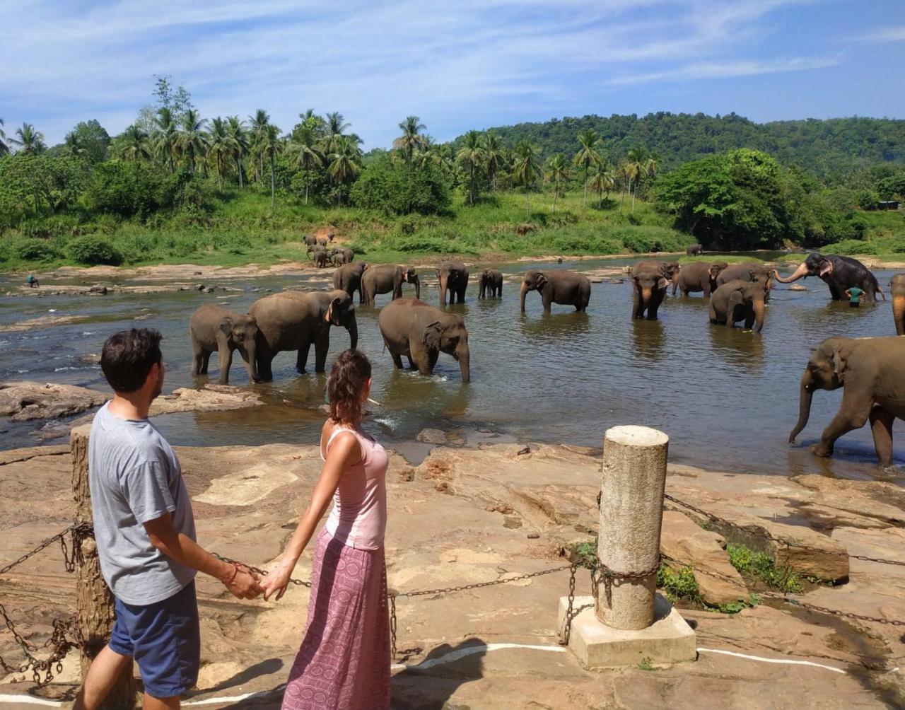 Hotel Elephant Park - New Deal! Half Off Airport Pickups Available Пиннавела Экстерьер фото