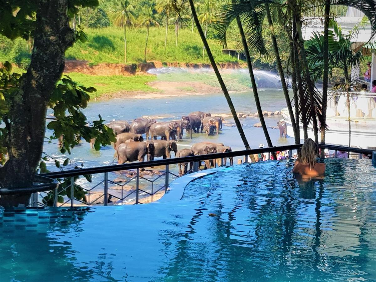 Hotel Elephant Park - New Deal! Half Off Airport Pickups Available Пиннавела Экстерьер фото